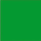 Sportspal Canoe Forest Green Color